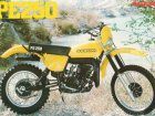 1979 Suzuki PE 250
